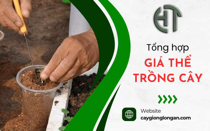 giá thể trồng cây