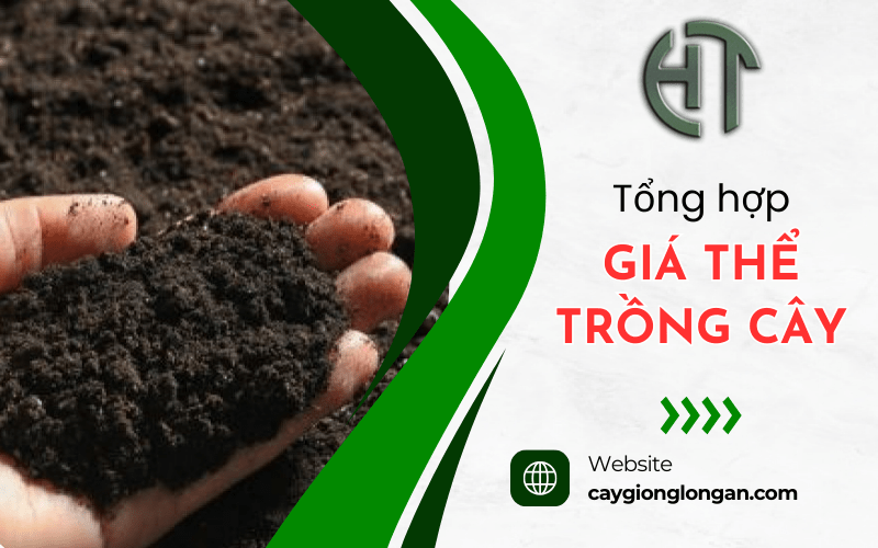 giá thể trồng cây