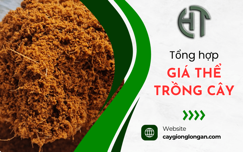 giá thể trồng cây